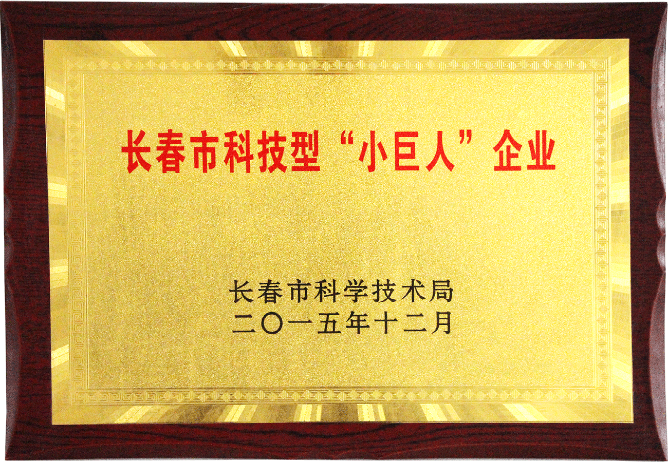 長春市科技型“小巨人”企業
